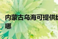 內(nèi)蒙古烏?？商峁┘t心電餅鐺維修服務地址在哪