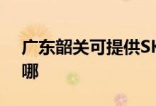 廣東韶關可提供SKG電餅鐺維修服務地址在哪