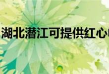 湖北潛江可提供紅心電餅鐺維修服務地址在哪