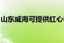 山東威海可提供紅心電餅鐺維修服務地址在哪