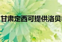 甘肅定西可提供洛貝電餅鐺維修服務地址在哪