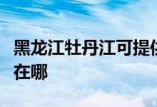 黑龍江牡丹江可提供洛貝電餅鐺維修服務地址在哪