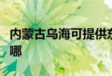 內(nèi)蒙古烏海可提供東菱電餅鐺維修服務(wù)地址在哪