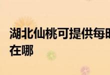 湖北仙桃可提供每時樂電壓力鍋維修服務地址在哪