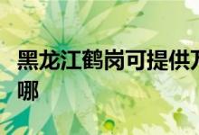 黑龍江鶴崗可提供萬(wàn)和燃?xì)庠罹S修服務(wù)地址在哪