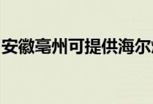 安徽亳州可提供海爾燃氣灶維修服務地址在哪