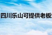 四川樂山可提供老板燃氣灶維修服務地址在哪