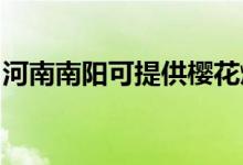 河南南陽(yáng)可提供櫻花燃?xì)庠罹S修服務(wù)地址在哪