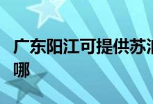 廣東陽江可提供蘇泊爾燃?xì)庠罹S修服務(wù)地址在哪