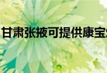 甘肅張掖可提供康寶燃?xì)庠罹S修服務(wù)地址在哪