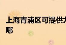 上海青浦區(qū)可提供九陽(yáng)燃?xì)庠罹S修服務(wù)地址在哪