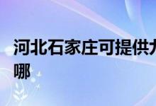 河北石家莊可提供九陽(yáng)燃?xì)庠罹S修服務(wù)地址在哪