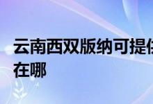 云南西雙版納可提供長虹燃氣灶維修服務地址在哪
