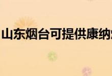 山東煙臺可提供康納燃?xì)庠罹S修服務(wù)地址在哪