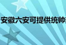 安徽六安可提供統(tǒng)帥熱水器維修服務地址在哪