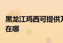 黑龍江雞西可提供萬家樂熱水器維修服務地址在哪