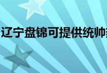 遼寧盤(pán)錦可提供統(tǒng)帥熱水器維修服務(wù)地址在哪