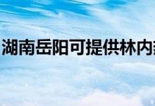 湖南岳陽可提供林內(nèi)熱水器維修服務(wù)地址在哪