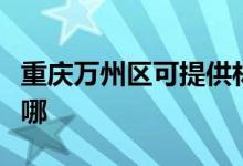 重慶萬州區(qū)可提供林內(nèi)熱水器維修服務(wù)地址在哪