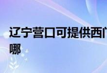 遼寧營(yíng)口可提供西門(mén)子熱水器維修服務(wù)地址在哪