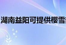 湖南益陽(yáng)可提供櫻雪熱水器維修服務(wù)地址在哪