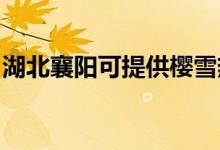 湖北襄陽(yáng)可提供櫻雪熱水器維修服務(wù)地址在哪