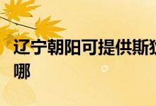 遼寧朝陽可提供斯狄渢熱水器維修服務地址在哪
