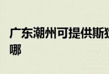 廣東潮州可提供斯狄渢熱水器維修服務地址在哪