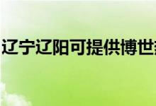 遼寧遼陽(yáng)可提供博世熱水器維修服務(wù)地址在哪
