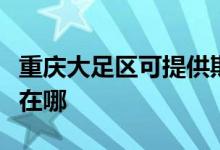 重慶大足區(qū)可提供斯狄渢熱水器維修服務地址在哪