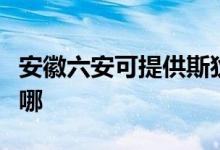 安徽六安可提供斯狄渢熱水器維修服務地址在哪
