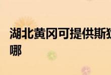 湖北黃岡可提供斯狄渢熱水器維修服務地址在哪
