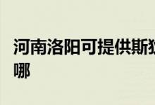 河南洛陽可提供斯狄渢熱水器維修服務地址在哪