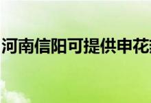 河南信陽(yáng)可提供申花熱水器維修服務(wù)地址在哪