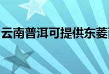 云南普洱可提供東菱面包機維修服務(wù)地址在哪