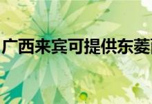 廣西來賓可提供東菱面包機維修服務(wù)地址在哪