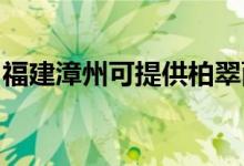 福建漳州可提供柏翠面包機維修服務地址在哪