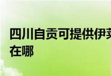 四川自貢可提供伊萊克斯面包機維修服務地址在哪