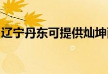 遼寧丹東可提供燦坤面包機維修服務地址在哪