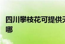 四川攀枝花可提供天際面包機維修服務地址在哪