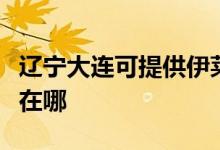 遼寧大連可提供伊萊克斯面包機維修服務地址在哪