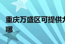 重慶萬盛區(qū)可提供九陽面包機維修服務地址在哪