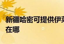 新疆哈密可提供伊萊克斯面包機維修服務地址在哪