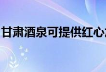 甘肅酒泉可提供紅心加濕器維修服務地址在哪