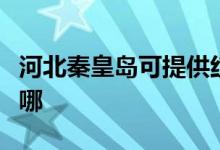 河北秦皇島可提供紅心加濕器維修服務地址在哪