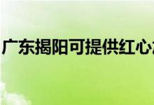 廣東揭陽可提供紅心加濕器維修服務地址在哪