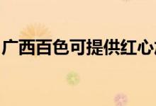 廣西百色可提供紅心加濕器維修服務地址在哪