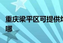 重慶梁平區(qū)可提供燦坤加濕器維修服務地址在哪