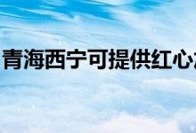 青海西寧可提供紅心加濕器維修服務地址在哪