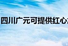 四川廣元可提供紅心加濕器維修服務地址在哪